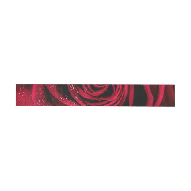 Bande Pour Adresse De Retour Pétales roses 1 (Individuel)