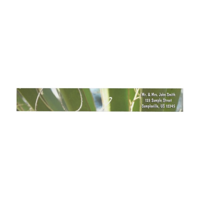 Bande Pour Adresse De Retour Photographie de la nature verte Feuille du Yucca (Individuel)