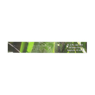 Bande Pour Adresse De Retour Spiderweb dans Tropical Leaves Nature
