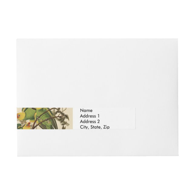 Bande Pour Adresse Illustration Audubon Carolina Parrot Bird (Devant)