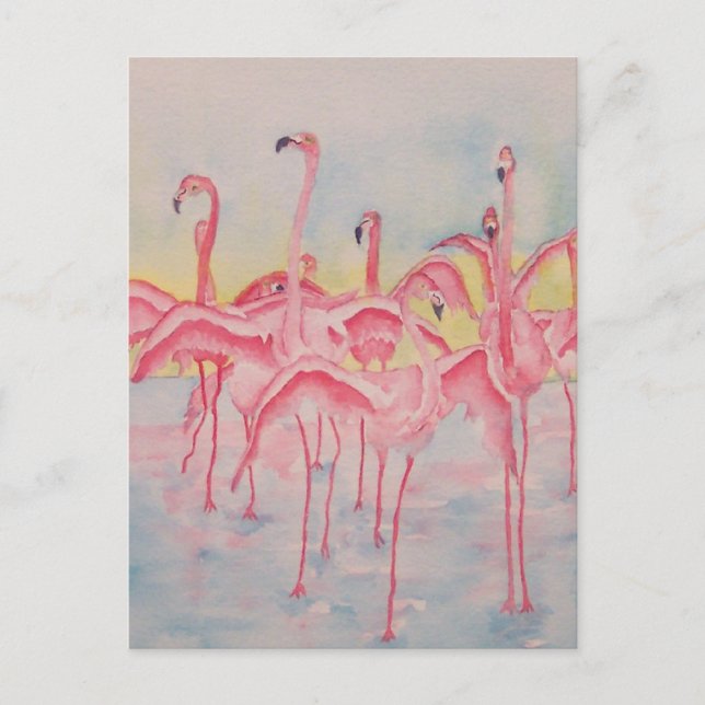 BANDE SUR LA CARTE POSTALE EXÉCUTÉE (Devant)