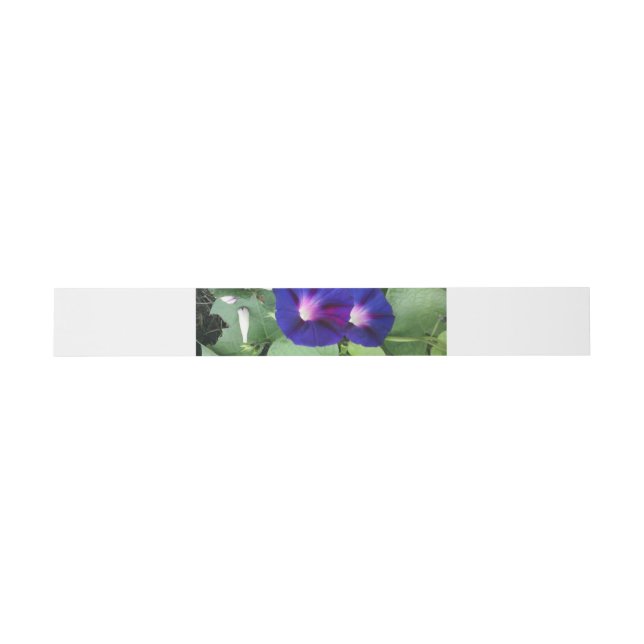 Bandeau De Faire-part Bande florale de ventre d'invitation (Plat)