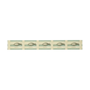 Bandeau De Faire-part Narwhal Antique Baleine Aquarelle Art scientifique