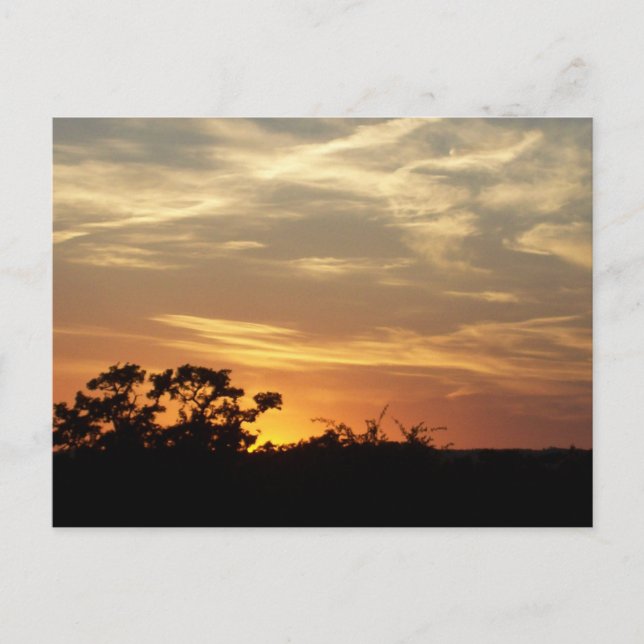 Bandera Texas Sunset Postcard Postkarte (Vorderseite)