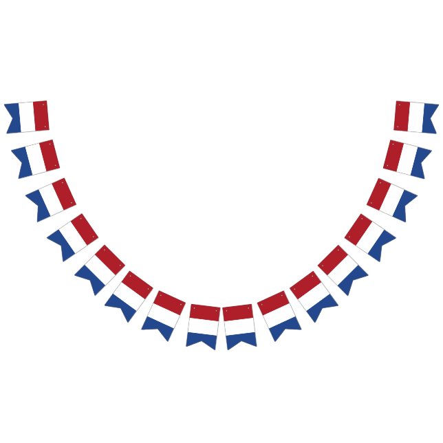 Banderole du drapeau de Pays-Bas des Caraïbes (Tout)
