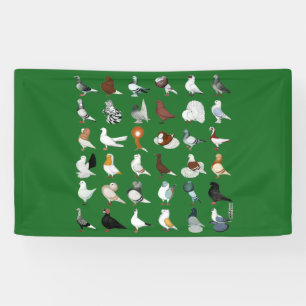 Banderoles 36 races de pigeon