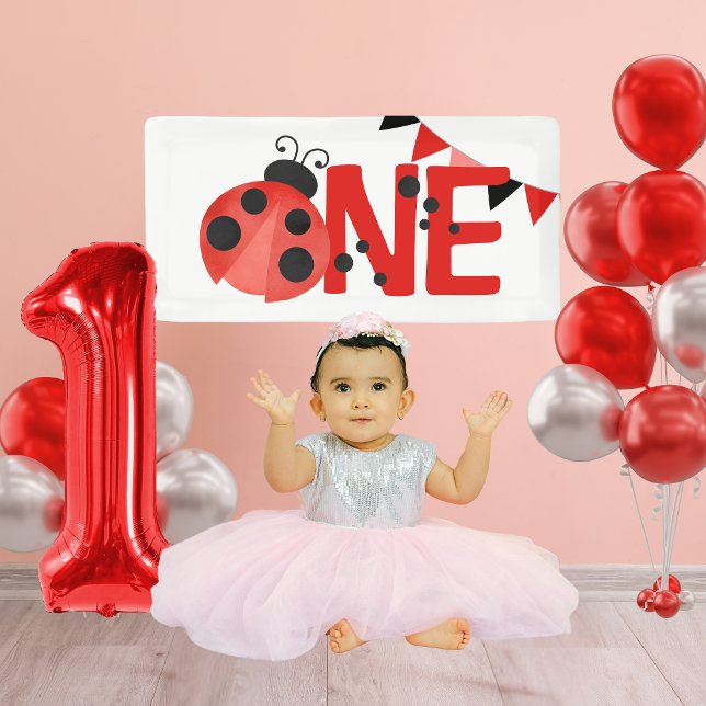 Banderoles Aquarelle ONE Ladybug 1er Anniversaire Mini banniè (Mini Watercolor Ladybug ONE Hanging Vinyl Banner for Photoshoot or Cake Smash)