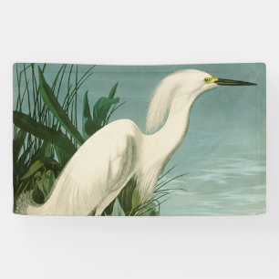 Banderoles Audubon Héron de neige Oiseaux d'aigrettes blanche