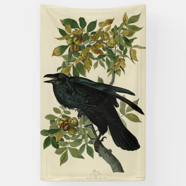 Banderoles Audubon Raven Oiseau classique (Vertical)
