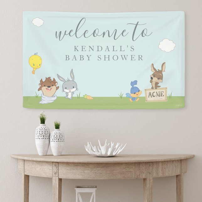 Banderoles BABY SHOWER LOONEY TUNES™ Bienvenue (Banner on wall)