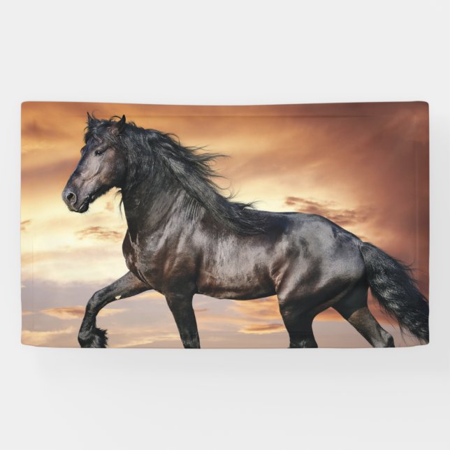 Banderoles Beau Cheval Noir (Horizontal)