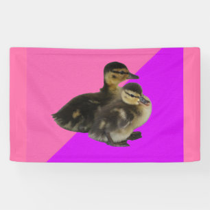 Banderoles Bébé Canards sur framboise rose et sorbet pourpre
