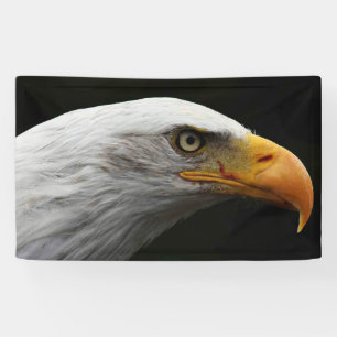 Banderoles Bnrcn de Bald Eagle