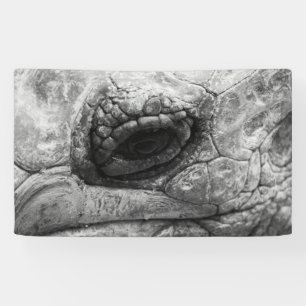 Banderoles BW Tortoise