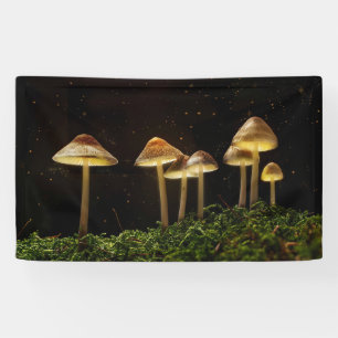 Banderoles Champignons brillants nocturnes étoilés