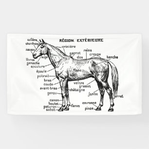 Banderoles Cheval