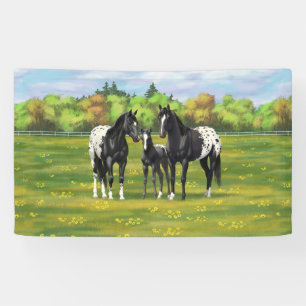 Banderoles Chevaux Appaloosa Noir Dans Les Pâturages D'Été