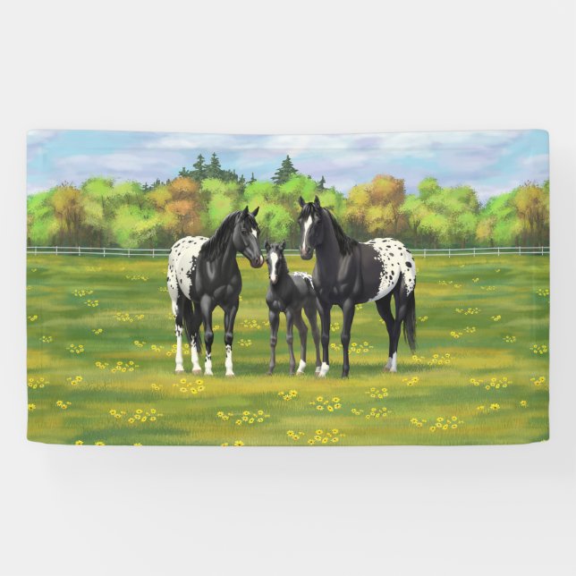 Banderoles Chevaux Appaloosa Noir Dans Les Pâturages D'Été (Horizontal)