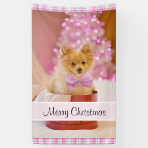 Banderoles Chien mignon avec cou rose Photographie de Noël