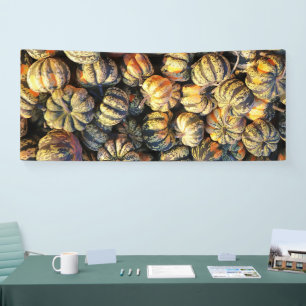 Banderoles Citrouilles rayées en grappe 