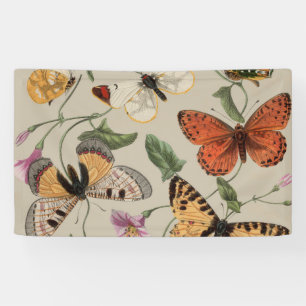 Banderoles Collection de la papillon Moth Nature Dessin