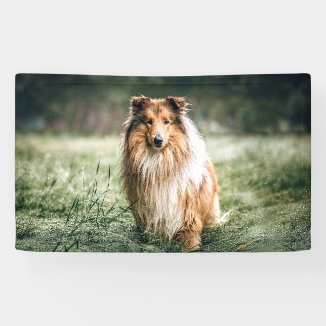 Banderoles Collie dans le Comté de Rough (Horizontal)