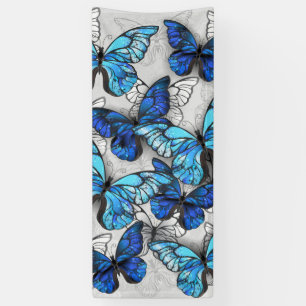 Banderoles Composition des White and Blue Butterflies