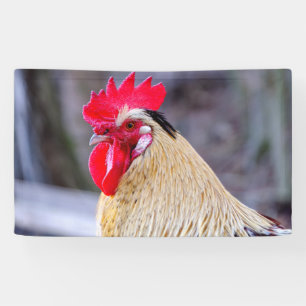 Banderoles Coq avec Cockscomb