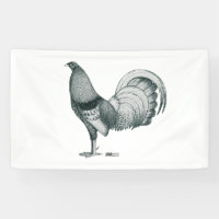 coq de combat Crele ou Dom