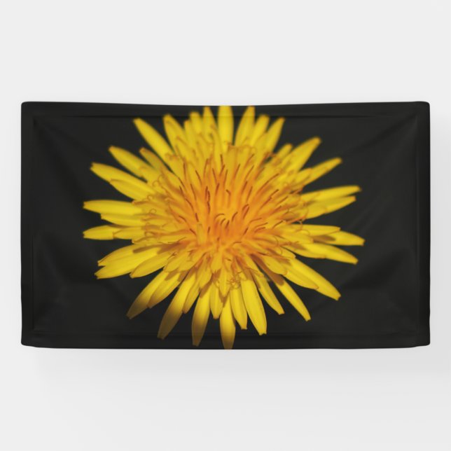 Banderoles Dandelion Fleur bnrcnm (Horizontal)