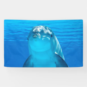 Banderoles Dauphin