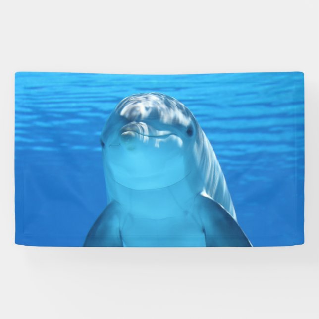 Banderoles Dauphin (Horizontal)