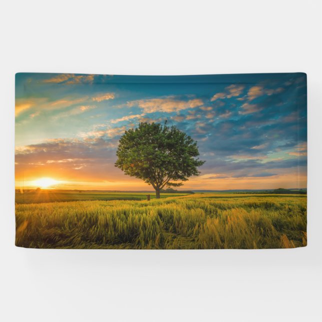 Banderoles de 91 cm x 152 cm (Horizontal)