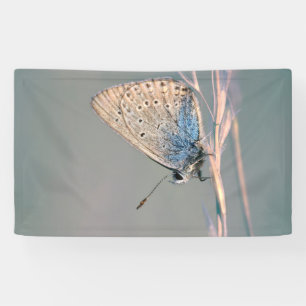 Banderoles de 91 cm x 152 cm