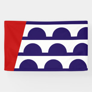 Banderoles Drapeau de Des Moines (Iowa City)