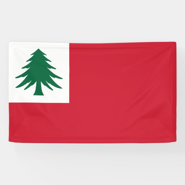 Banderoles Drapeau de la Nouvelle-Angleterre (Horizontal)
