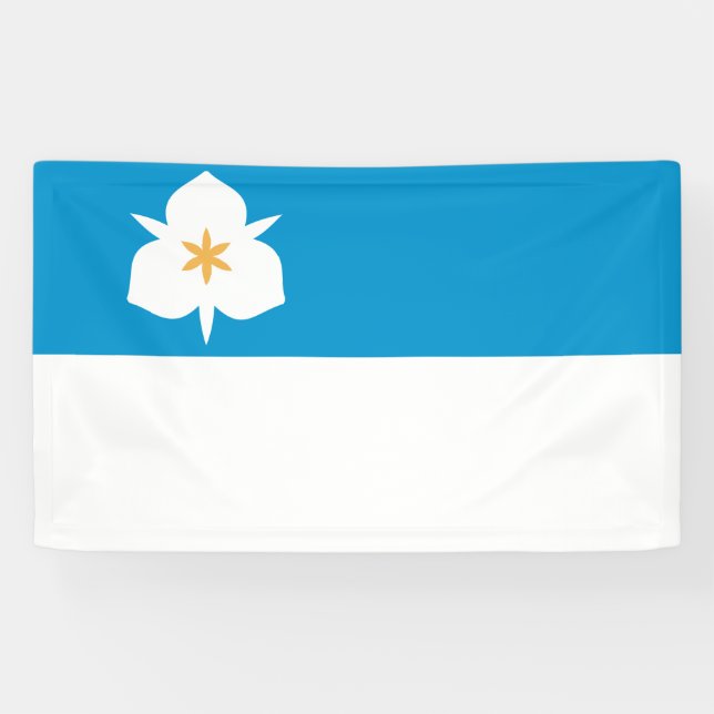 Banderoles Drapeau de Salt Lake City (Utah) (Horizontal)