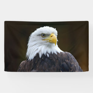 Banderoles Eagle chauve américain