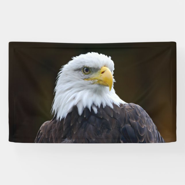Banderoles Eagle chauve américain (Horizontal)