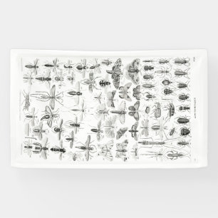 Banderoles Entomologie noire et blanche Insectes Bugs