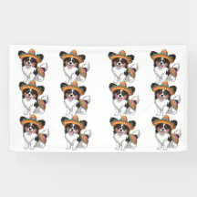 Fiesta Papillon Chien portant Sombrero et Sarape
