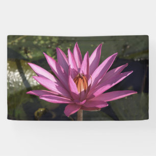 Banderoles Fleur de Lotus