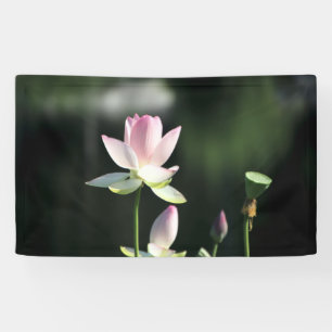 Banderoles Fleur de Lotus rose et blanc
