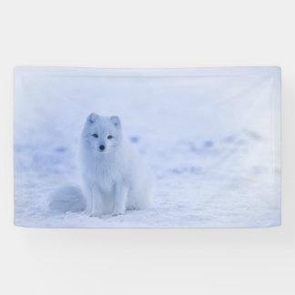 Banderoles Fox arctique de l'Islande