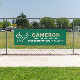 Banderoles Futur diplômé de l'USF
