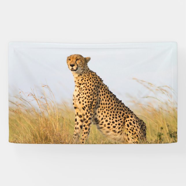 Banderoles Guépard (Horizontal)