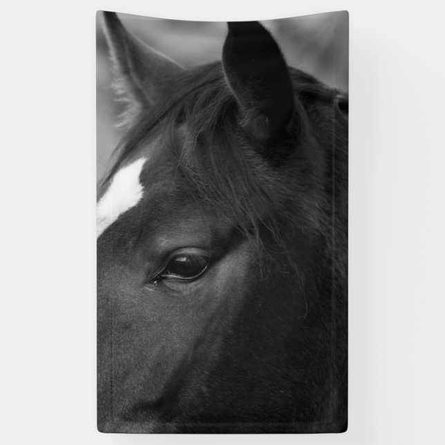 Banderoles Horse bnrcna (Vertical)
