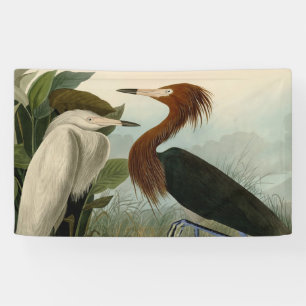 Banderoles Impression de Héron Pourpré d'Audubon : Art d'Oise