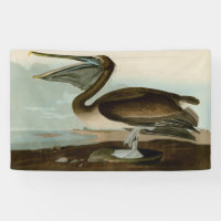 John James Audubon Peinture Pélicane Brown