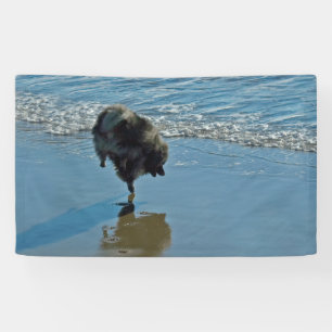Banderoles Keeshond Ballet Photographie - Joli chien d'origin